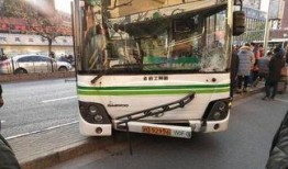 美媒爆料公交车事件视频,公交车事件视频引发社会关注